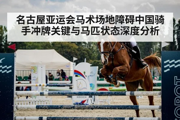名古屋亚运会马术场地障碍中国骑手冲牌关键与马匹状态深度分析